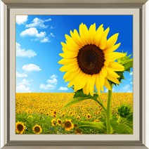 히여 보석십자수 DIY 패키지 3D D-1858, 1개, 풍경화 해바라기 szx-007
