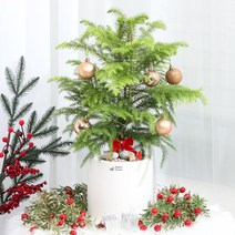 크리스마스 DIY 키트 선물 미니트리 실내공기정화식물, 크리스마스 DIY 옐로우