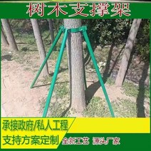 과수지지대 과수 받침대 강선활대 나무 강관 나무 나무 나무 나무 심기 섹션 방풍 프레임, b27-t16-2.5 미터 길이 50 ​​튜브 4