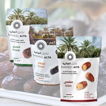 메디나 대추야자 사우디 만수르간식 라운딩간식 골린이 고급답례품 파우치 250g 500g, 대추야자 세가이 500g, 1개