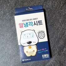 곰탱이 열냉각시트 6매입 X 1개