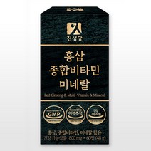 진생당 홍삼 멀티 종합비타민 미네랄 800mg x 60정 SS, 4개