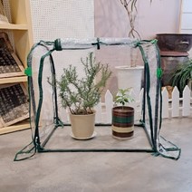 가정용 미니 비닐하우스 소형 온실 베란다 실내 다육이 제라늄 겨울나기, 투명70x50x70
