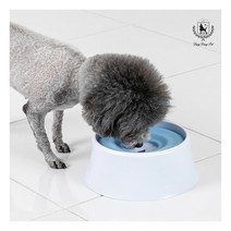 [딩동펫] 강아지 플로팅 급수기, 선택사항:플로팅 급수기_핑크, 상세 설명 참조