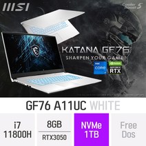 MSI 게이밍 노트북 GF시리즈 Sword GF76 A11UC_화이트 + 무선마우스&마우스패드 증정, 1TB, 8GB, 미포함