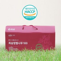벌나무 추출물 강원도 정선 자연산 벌나무 즙 진액 엑기스 100ml 30포 산겨릅 나무