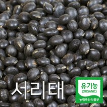 산들바람 2022년산 국내산 유기농 햇 서리태 500g