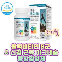 하루권장량 100% 활력에너지 비타민B 비군 종합영양제 신체 유지 중요한 성분 산화 마그네슘 B126 손 발 신경 팔 다리 신체 근육 기능 유지 식야처 기능성 인정 건강기능식품