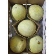 허니듀멜론 4kg / 6kg / 12kg 꿀 고당도 달달한 제철 민무늬 하얀 칸탈로프 멜론 메론 melon 무늬없는멜론 허니듀 하미과, 6입(12kg내외)