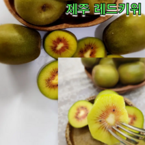 제주 레드키위 3kg 5kg 황금빛 태양의 과일 열대과일 새콤달콤 생과일주스, 레드키위 5kg 중과