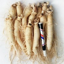 [GAP 취득 농부의인삼]햇 인삼 수삼 6년근 5년근 난발 파삼 세척 삼계탕 선물 산지직송 홍삼액 금산인삼, 세척안함, 10.정(750g)-13뿌리내외