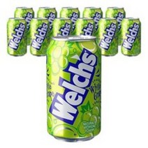 웰치스 청포도 355ml, 10개