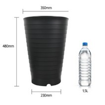 48cm 큰 화분 높은 식물 산세베리아 타이거하니 여인초 키우기, 그린