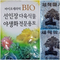 언제나봄 다육이전용흙세트