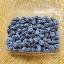 눈에 좋은 과일 냉동블루베리, 단품, 단품
