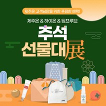 제주온 추석선물대전(레드펩타이드4종세트), 상세페이지 참조