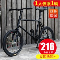 데드 플라이 미니 자전거 20 인치 출퇴근 경량 벨로, 20 인치 40 칼 Anqi 분말