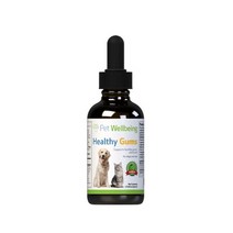 펫잇몸영양제 치주염 구내염 Healthy Gums, 1병