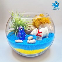 백곰과 친구들 - 틸란(이오난사) 원형볼 12cm 테라리움 DIY키트 세트, 초록