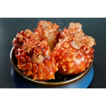 봄 제철 활 멍게 꽃멍게 깐멍게 직접 검수 택배 발송 합포장, 활멍게 1kg, 일반배송, 1개