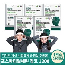 프리미엄 뇌 영양제 포스파티딜세린 징코 고함량 1200, 5박스 250캡슐