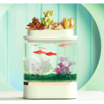 베타 구피어항 물고기 수초 마리모 물고기 용품 c300