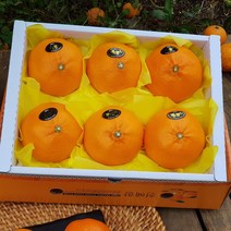 제주산지직송 천혜향 2kg(6-9수 대과)그윽한 향과 팡팡 터지는 과즙 품격있는 설과일선물세트, 4박스