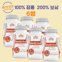 로직 뉴트라 매스틱 검 1000mg 다이제스티브 서포트, 6개, 120정, 120정