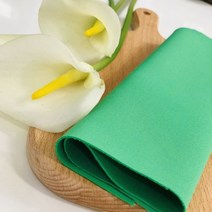 (고급 기능성원단)마스크전용 네오플랜원단 초록색, 1개