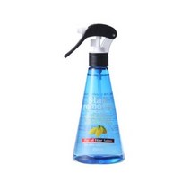세제혁명 얼룩제거제, 250ml, 2개