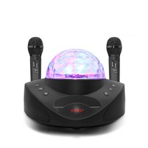 SDRD 블루투스 마이크 스피커 노래방 조명 USB 2세대, 블랙
