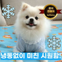 바이홈 프리미엄 강아지 반려견 쿨매트 여름방석, 블루
