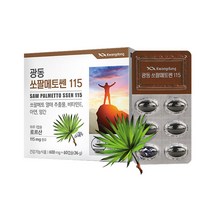광동 쏘팔메토쎈 115, 600mg x 60캡슐, 두박스