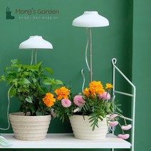 몽이정원 우산 식물등 LED 식물 조명 전구 생장등 성장등 램프 다육이 키우는법 이케아 정원, 옐로우