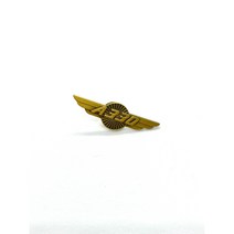 벳지 금속뱃지 뱃찌 비행기 윙