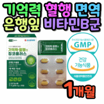 70대 어르신 두뇌 영양제 플라보놀 배당체 혈행 개선 비오틴 뇌 건강 아르기닌 비타민D3 엽산 비타민C 비타민B군 기억력 BCAA 흑마늘 은행잎 추출물 면역 80대 노인 시니어