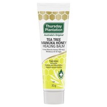 Thursday Plantation 써스데이플랜테이션 Tea Tree Oil 티 트리 오일 앤드 마누카 허니 힐링 밤 30g