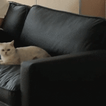 고양이키우는집 3.5인용 구스 넓은 쇼파 친환경 인조 가죽 블랙 카페 카우치 3인용 2인용 4인용 원목 2인 좌식쇼파, 3.5인용쇼파(220cm)