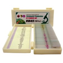 영구 프레파라트 동물세포(50pcs) sup-c541