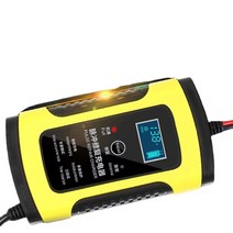 라오농 방전 12V 24V자동차 퍽셔재생기 밧데리 충전기 배터리, 12V 7단식개
