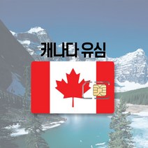 캐나다 유심 LTE 완전무제한 하와이 미국 멕시코 티모바일 AT&T 여행 출장 유심칩, 티모바일 5GB, 8일