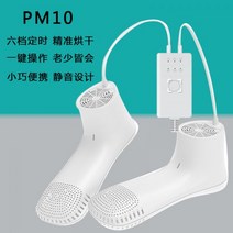 신발 안전화 운동화 등산화 슈즈 스타일러 건조기 소독기 살균기 드라이 제습 세척기, PM10