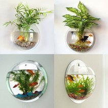 벽걸이어항 수족관 acrylic fish tank wall hanging tank transparent plant product wall mount pot plant 홈, 분명한, 22.5cm