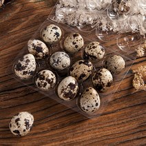 가방 정리대 수납함가정용 신선한 메추라기 계란 상자 12 셀 컨테이너 보관 개, 한개옵션1, 한개옵션0