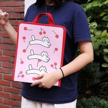 초등 방과후수업 학원가방 손잡이지퍼파일 크리어화일 문서보관, 쓰리키티즈