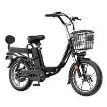 해외직구 독일 기술 48V 17.5AH 전기자전거 전기스쿠터, 40A, 은색