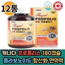 캐나다 royal 프로폴리스180캡슐 항산화 도움 플라보노이드 건강증진 활력 면역력 건강기능식품 인증 추천, 12통