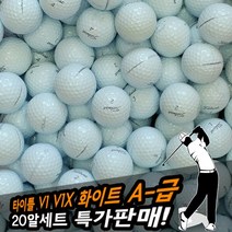 로스트볼골프공 타이틀리스트 V1 V1X혼합 A- 급(20알), 타이틀리스트 A-급 V1/V1X혼합 (20알)