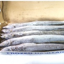 세네갈 갈치 절단 8kg (자망) 500700, 단품