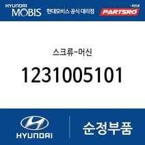 스크류-머신 (1231005101) 아토스 라비타 엑센트 베르나 싼타페 엘란트라 아반떼 투스카니